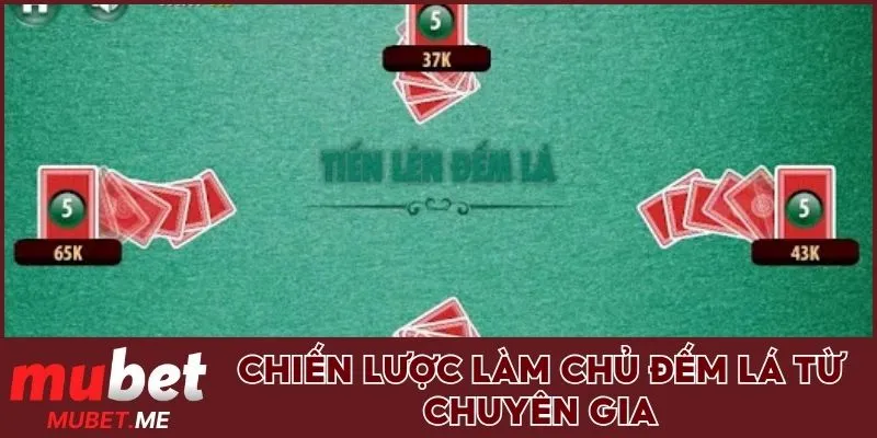 Chiến lược làm chủ đếm lá từ chuyên gia