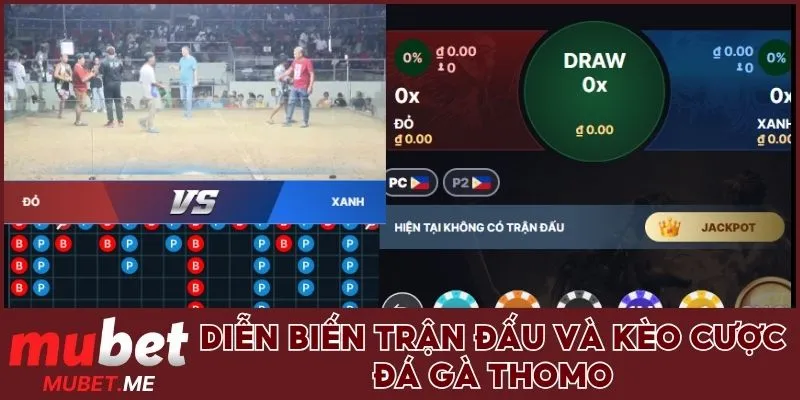Tổng quan về Đá gà Thomo tại MUBET