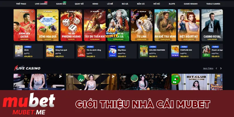 Giới thiệu về nhà cái uy tín Mubet
